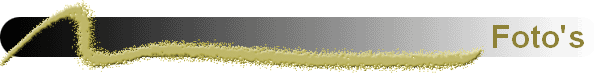 Foto's